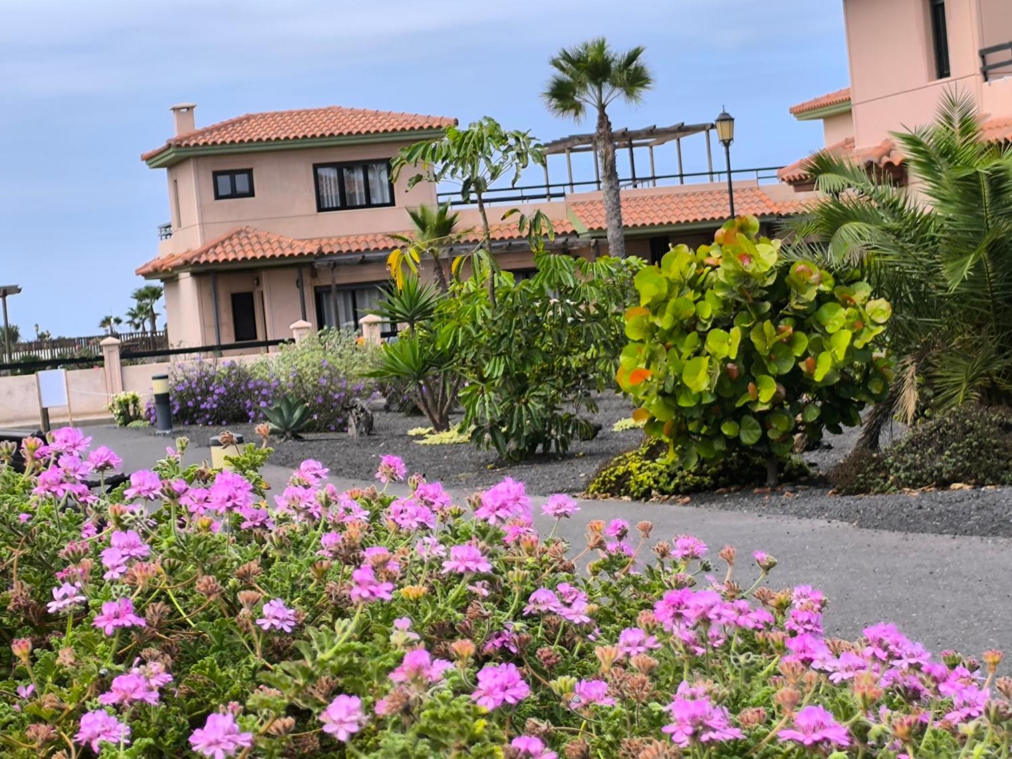 Villa Marina Lajares Extérieur photo